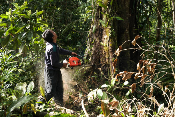 Soil Testing and Treatment in Sunman, IN